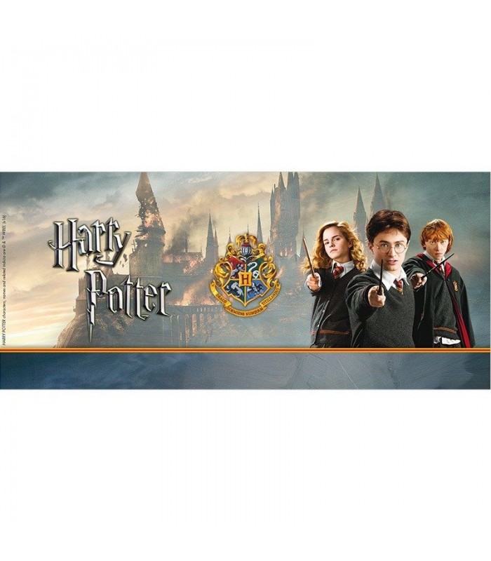 Taza Harry Ron y Hermione - Harry Potter