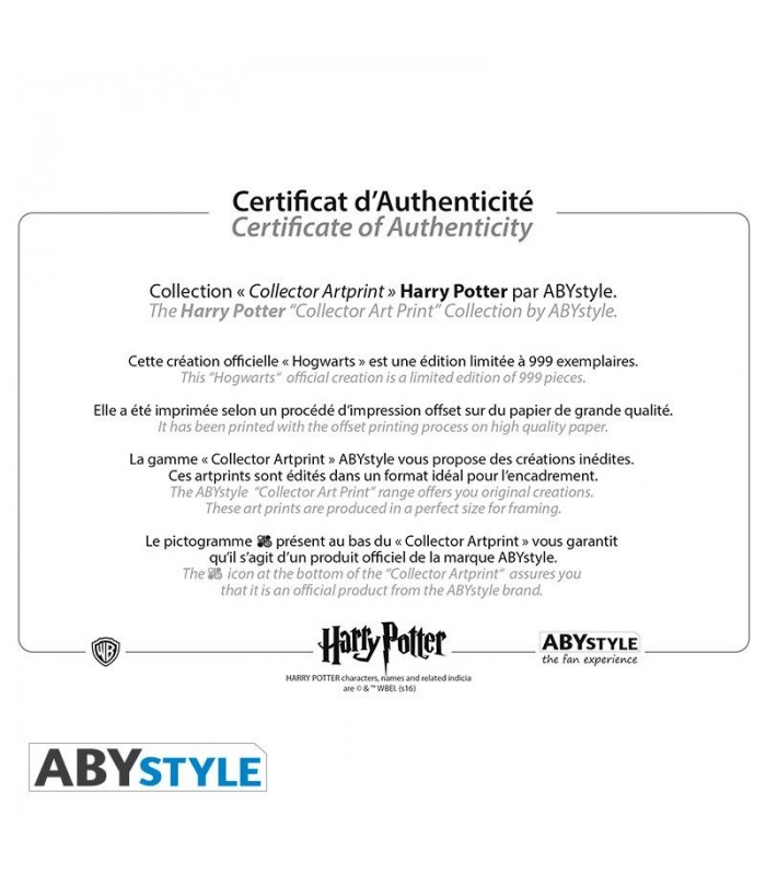 Póster de 40 x 50 castillo de Hogwarts - Harry Potter