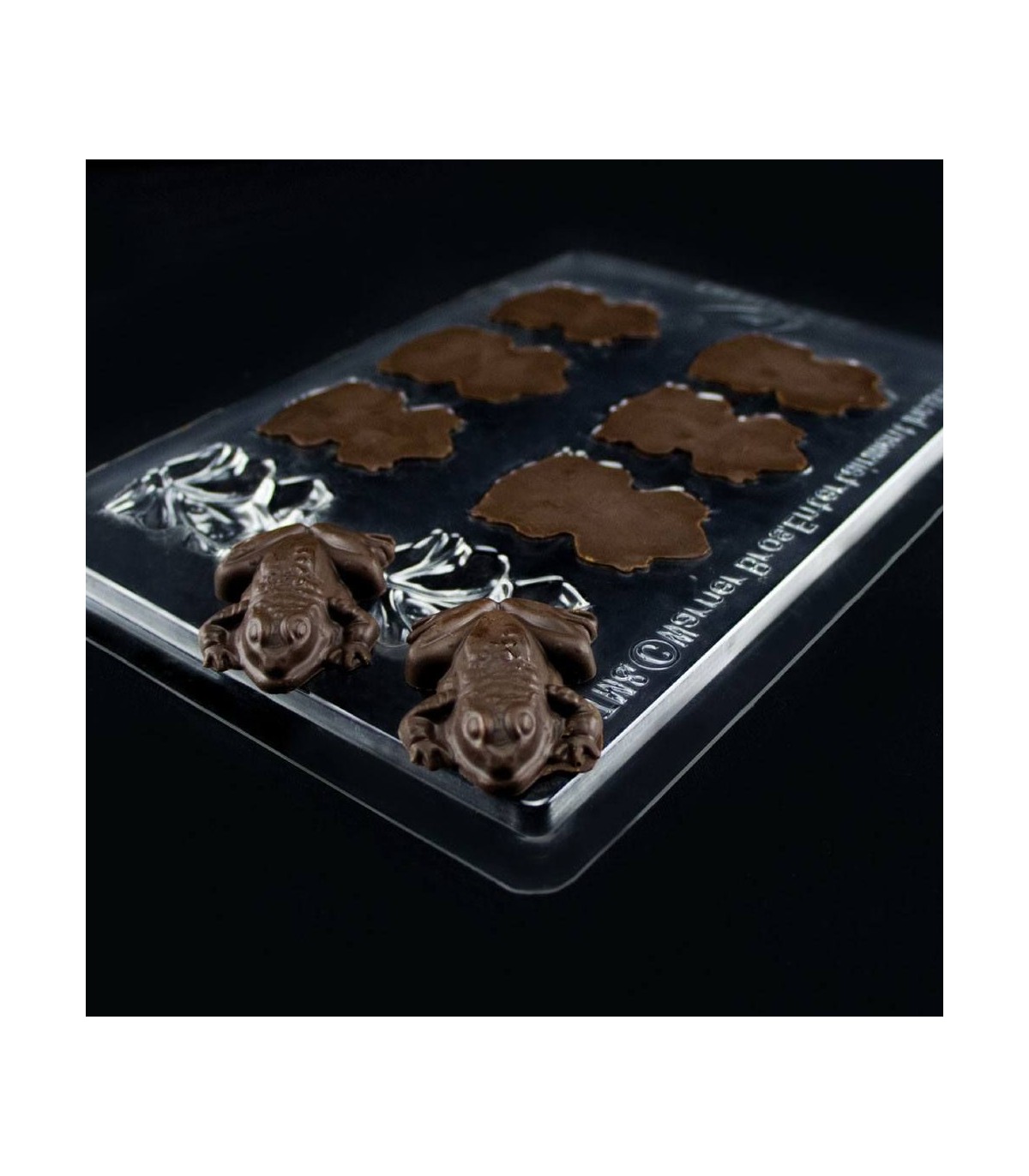 Molde de ranas de chocolate con cromo - Harry Potter