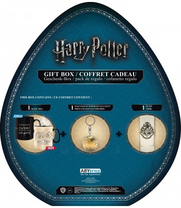 Super pack taza, llavero y vaso Harry Potter