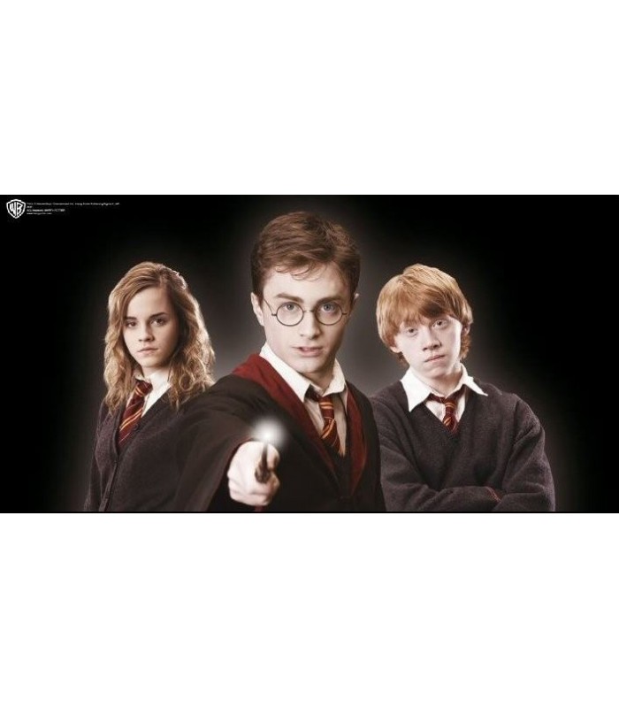 Gafas de Harry Potter (Noble Collection)