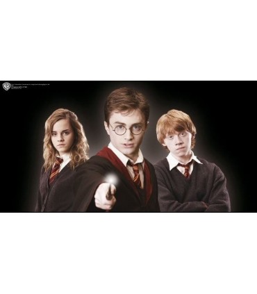 Gafas de Harry Potter (Noble Collection)
