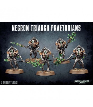 Necron Triarch Praetorians - Warhammer 40.000