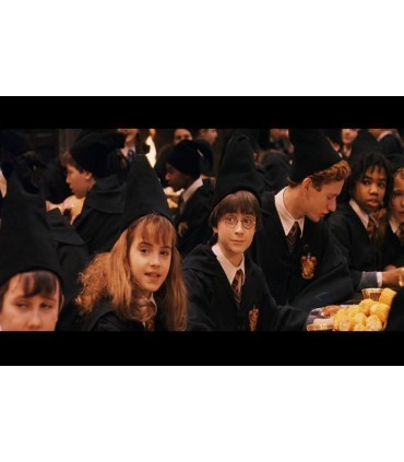 Gorro de estudiante de Gryffindor - Harry Potter