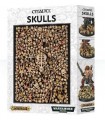 Colección de cráneos para ambientación y peanas Citadel Skulls - Citadel