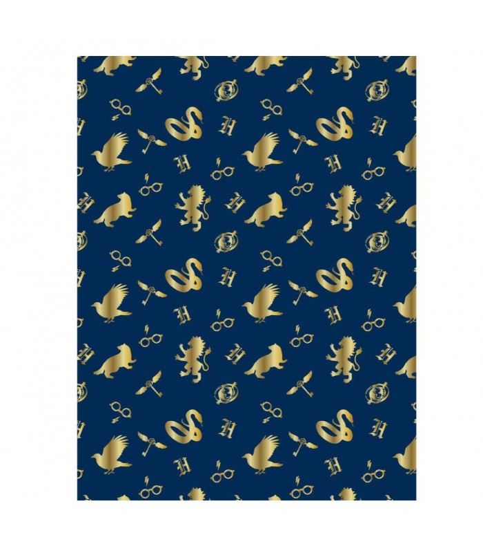 Manta Polar Azul - Harry Potter