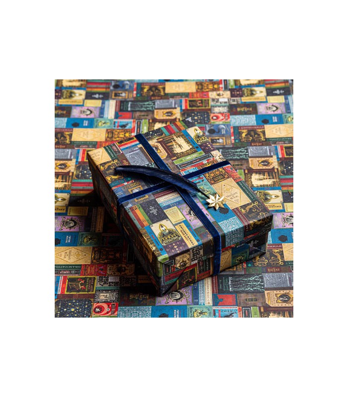 Papel de regalo con estampado de libros - Harry Potter