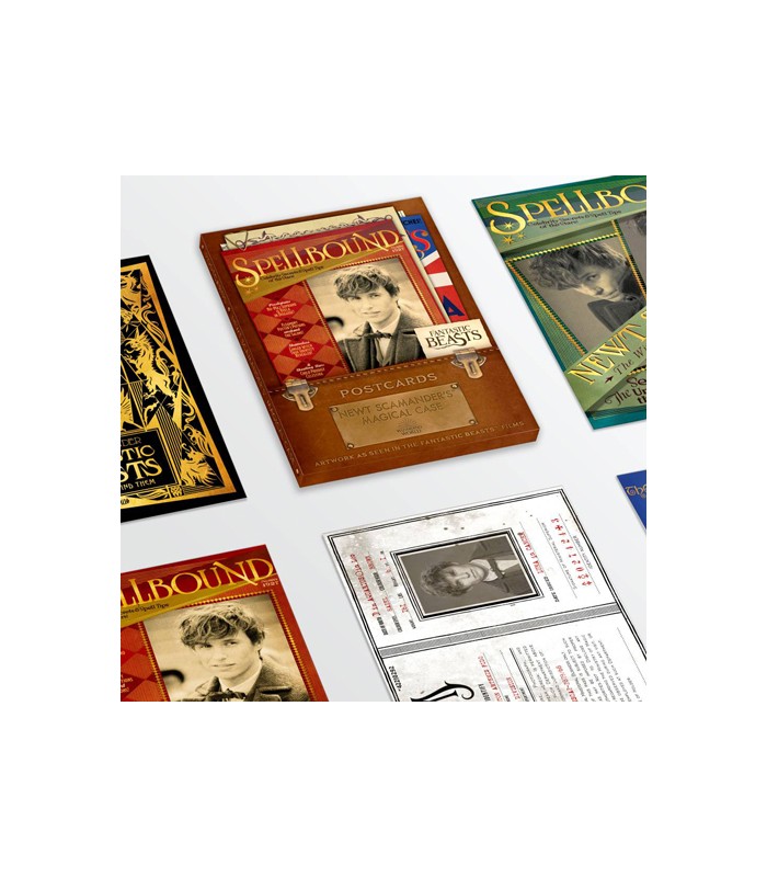 Colección de postales variadas de Newt Scamander - Animales fantásticos y donde encontrarlos - Cuernavilla