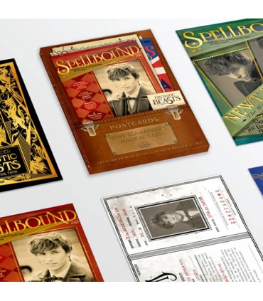Colección de postales variadas de Newt Scamander - Animales fantásticos y donde encontrarlos