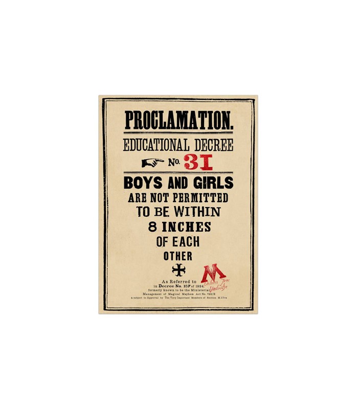 Póster Decreto de enseñanza nº31 - Harry Potter