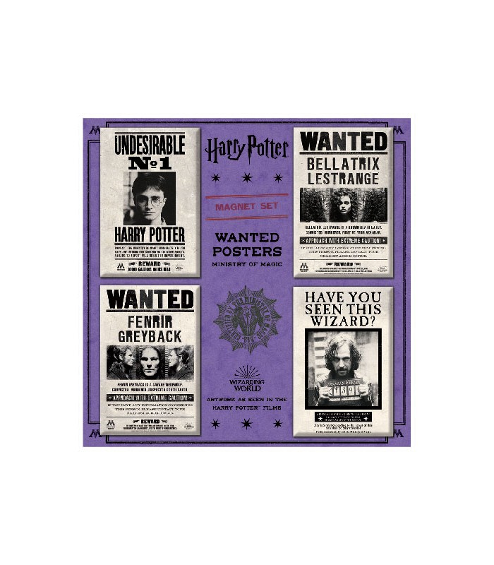 Set de imanes de SE BUSCA - Harry Potter