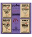 Set de imanes de normas del Ministerio de Magia - Harry Potter
