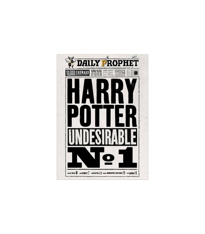 Póster de la portada de Harry en El Profeta - Harry Potter