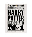 Póster de la portada de Harry en El Profeta - Harry Potter
