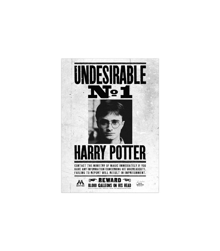 Póster de SE BUSCA de Harry - Harry Potter