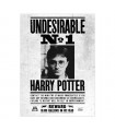 Póster de SE BUSCA de Harry - Harry Potter