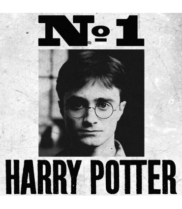 Póster de SE BUSCA de Harry - Harry Potter
