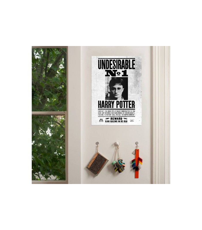 Póster de SE BUSCA de Harry - Harry Potter - Cuernavilla
