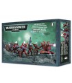 Craftworlds Guardians - Warhammer 40.000
