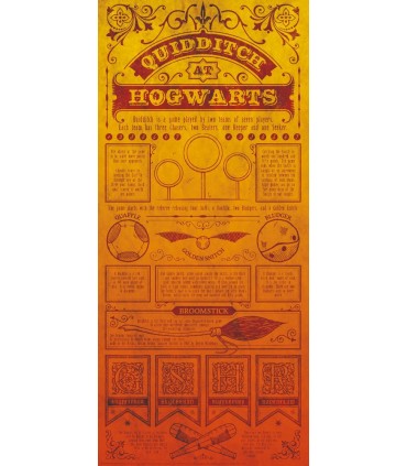 Litografía Quidditch - Harry Potter
