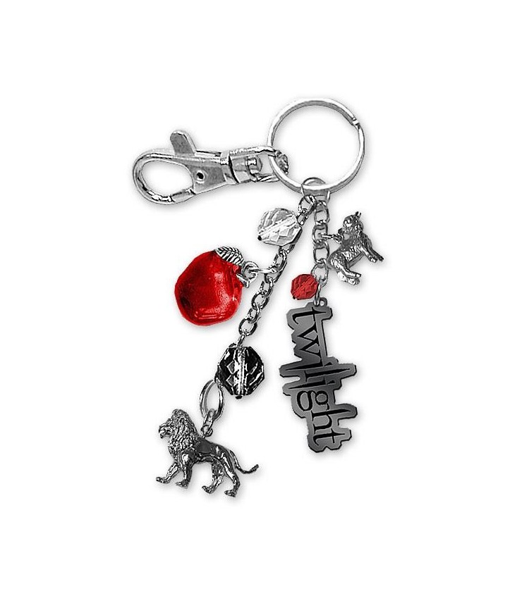 ключ к сумраку. символический ключ. ключи сумерки. брелок сумерки фильтр в стиле. ключ к сумраку.