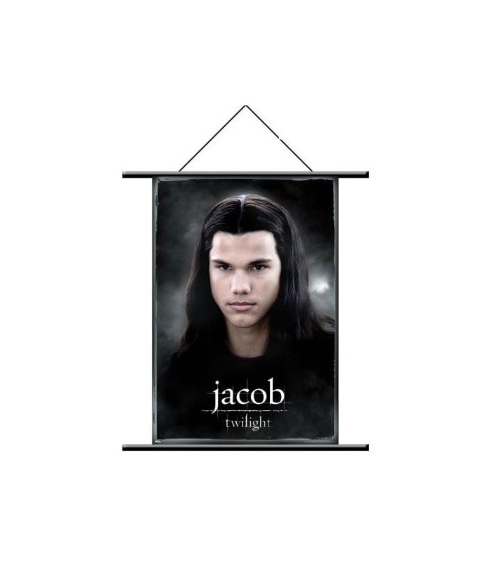Poster de Tela Jacob Black Estandarte Twilight (Crepúsculo)
