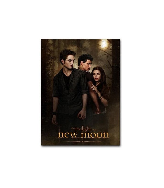 Puzzle "One Sheet" Poster 1000 Piezas Luna Nueva (New Moon)