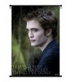 Poster Enrollable Edward Cullen Luna Nueva Crepusculo New Moon