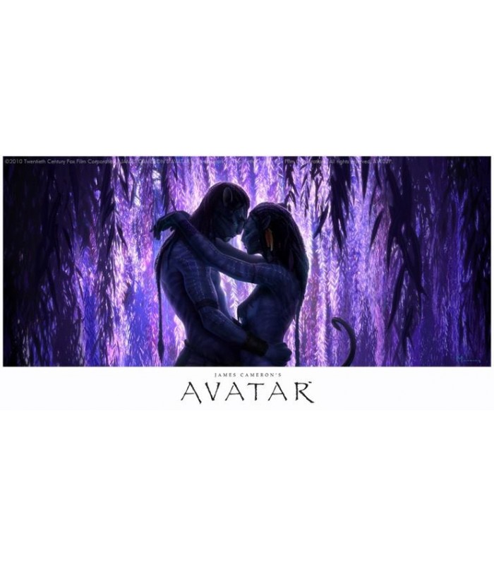 Lamina Avatar Jake and Neytiri Giclée en Papel