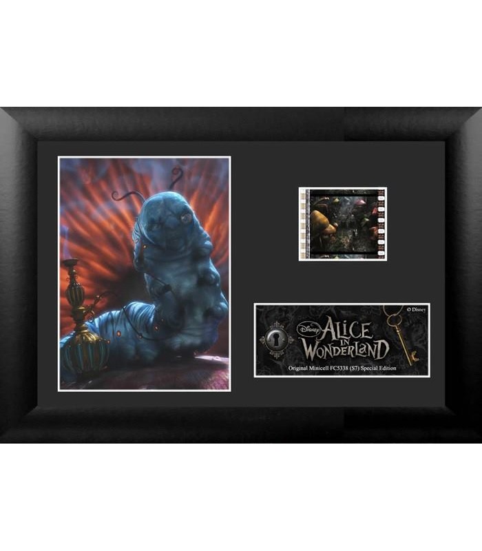 Fotogramas 35mm "Absolem" Enmarcados Alicia Pais Maravillas