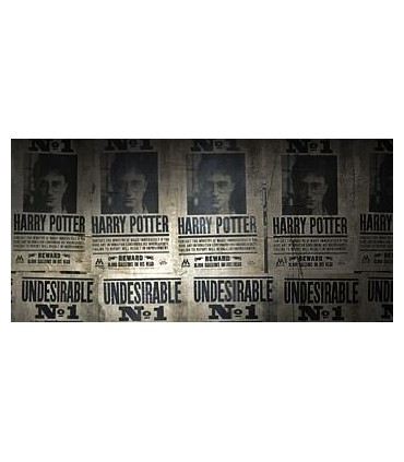 Harry Potter Cartel Undesirable N°1 (Indeseable Nº 1) Poster