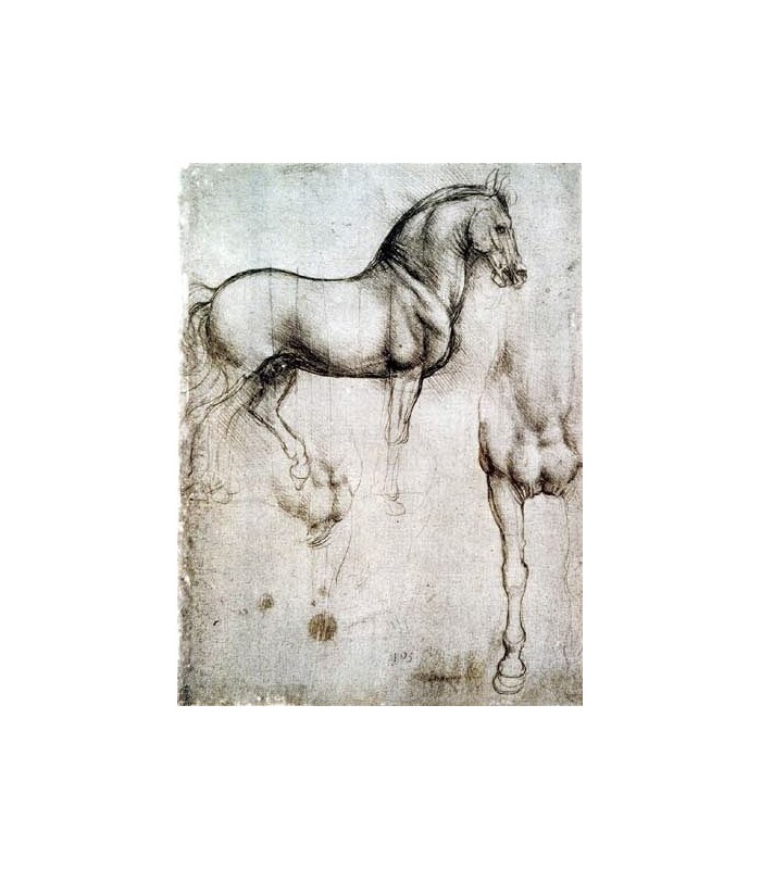 Marca Páginas Puntos de Libro de Leonardo Da Vinci