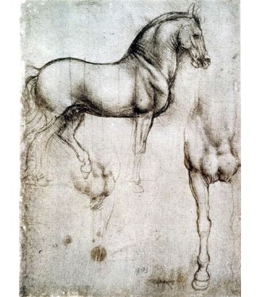 Marca Páginas Puntos de Libro de Leonardo Da Vinci