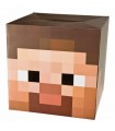 Cabeza de Steve Minecraft