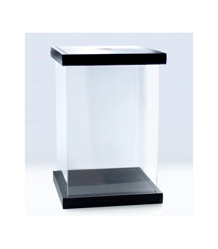 Vitrina Display Acrílico Color Negro